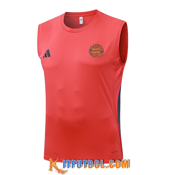 Chalecos De Futbol Bayern Munich Naranja/Gris 2025/2026