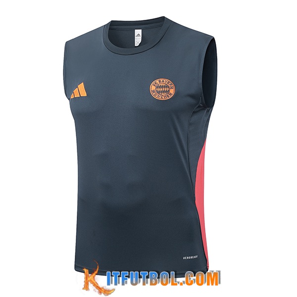 Chalecos De Futbol Bayern Munich Gris/Naranja 2025/2026
