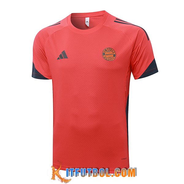 Camiseta Entrenamiento Bayern Munich Gris/Naranja 2025/2026
