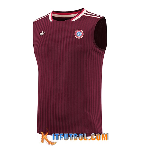 Chalecos De Futbol Bayern Munich Rojo/Blanco 2025/2026