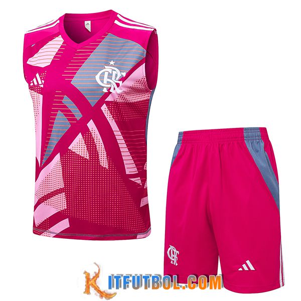 Camiseta Entrenamiento sin mangas Flamengo Rosa/Gris 2025/2026