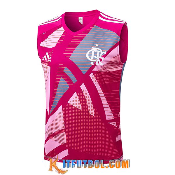 Chalecos De Futbol Flamengo Rosa/Gris 2025/2026