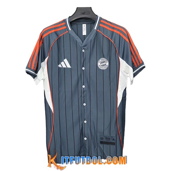 Camisetas De Futbol Bayern Munich Special Edition Gris 2025/2026
