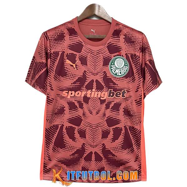 Camisetas De Futbol Palmeiras Portero Rojo 2025/2026