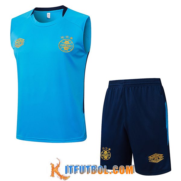 Camiseta Entrenamiento sin mangas Gremio Azul 2025/2026