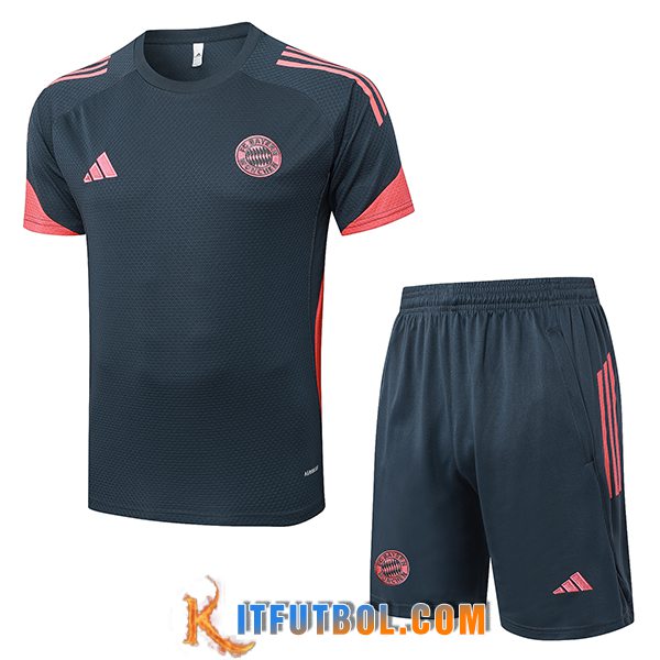 Camiseta Entrenamiento Bayern Munich Gris/Naranja 2025/2026 -02