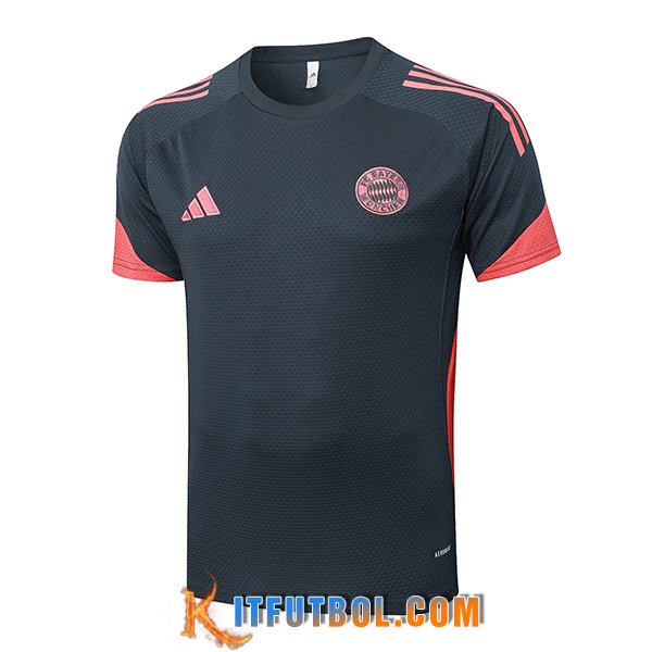 Camiseta Entrenamiento Bayern Munich Gris/Naranja 2025/2026 -02