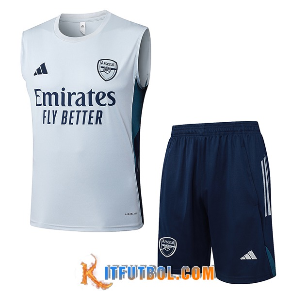 Camiseta Entrenamiento sin mangas Arsenal Gris Claro 2025/2026