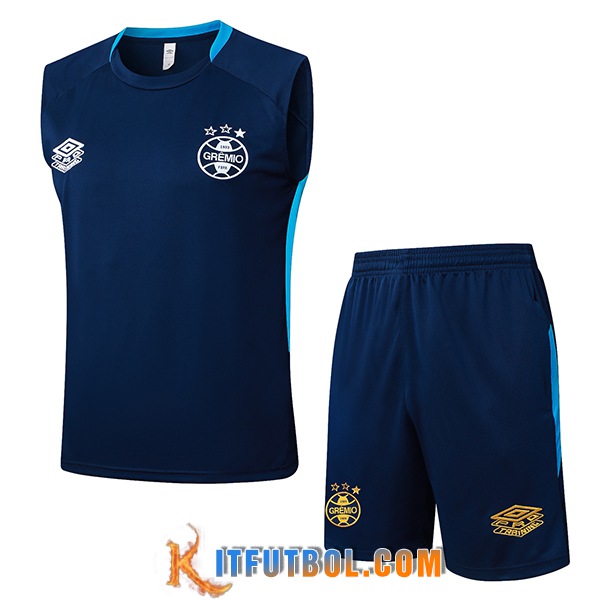Camiseta Entrenamiento sin mangas Gremio azul real 2025/2026