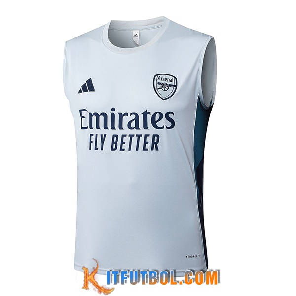 Chalecos De Futbols Arsenal Gris Claro 2025/2026