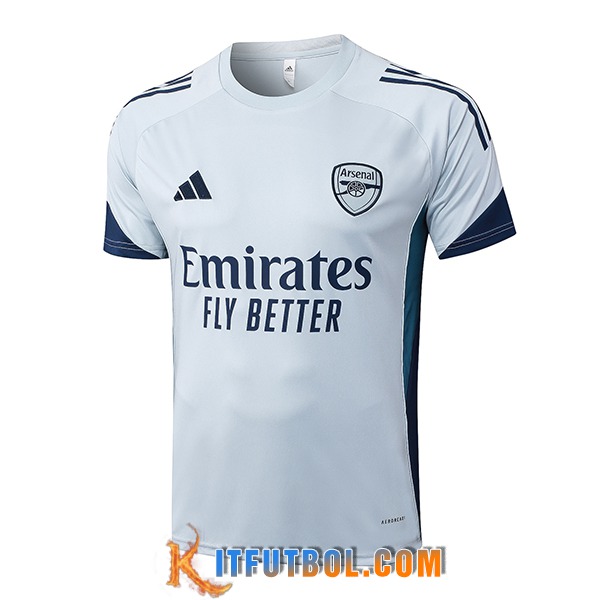 Camiseta Entrenamiento Arsenal Gris Claro 2025/2026