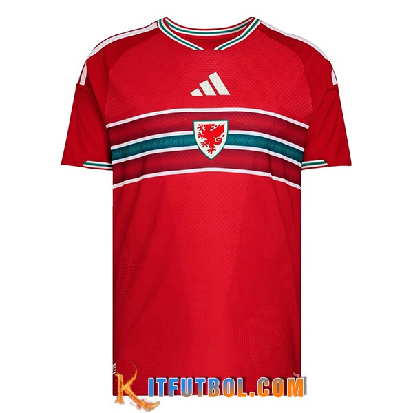 Nueva Camiseta Equipo Nacional Gales Primera 2026/2027